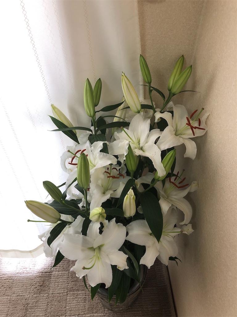 f:id:amanokotone:20190708115303j:image f:id:amanokotone:20190708115303j:image