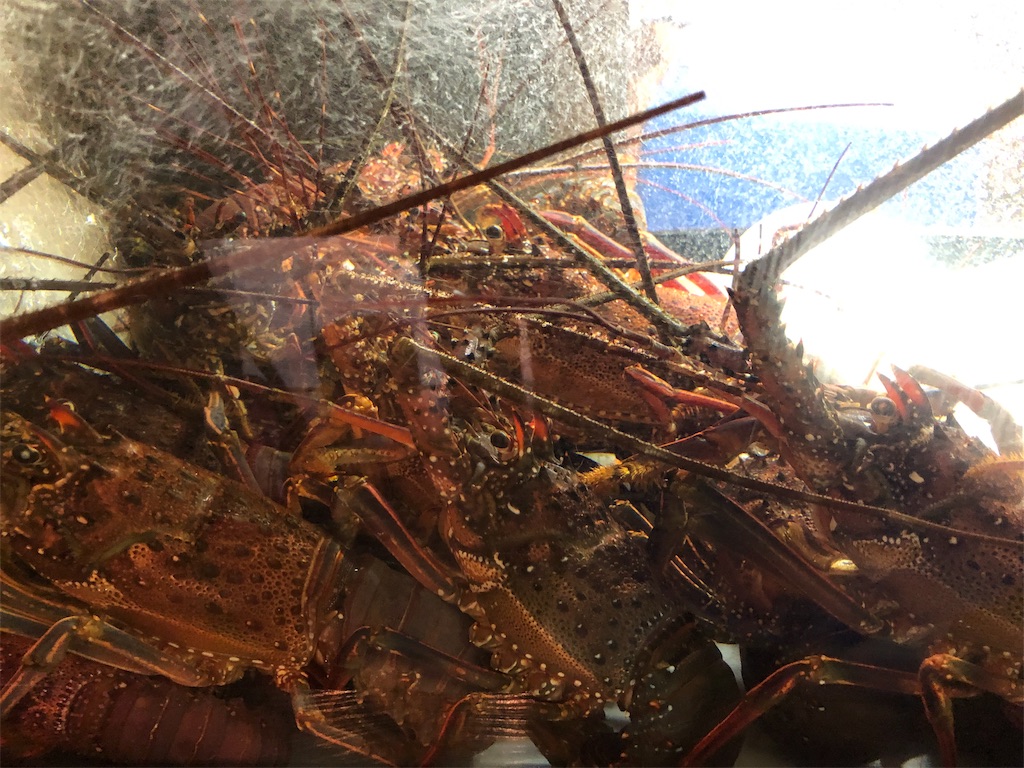 f:id:amanokotone:20190727212328j:image