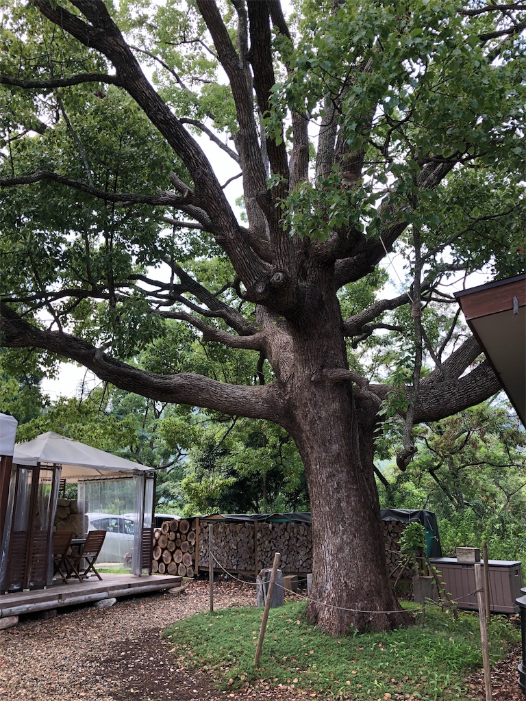 f:id:amanokotone:20190729170053j:image