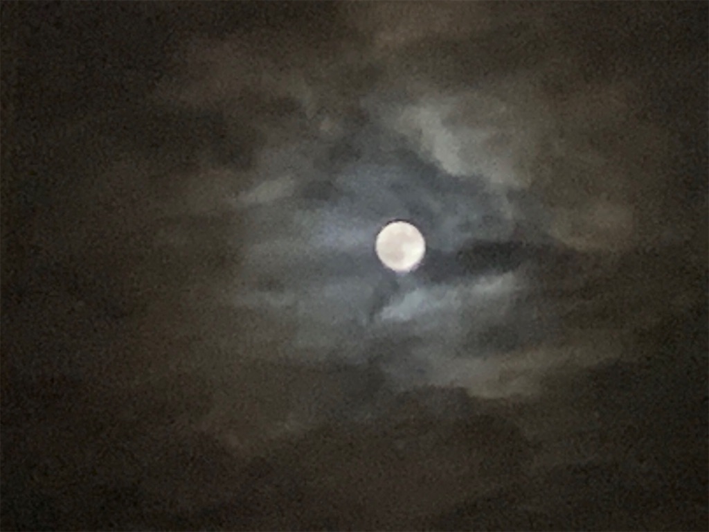 f:id:amanokotone:20190914221850j:image