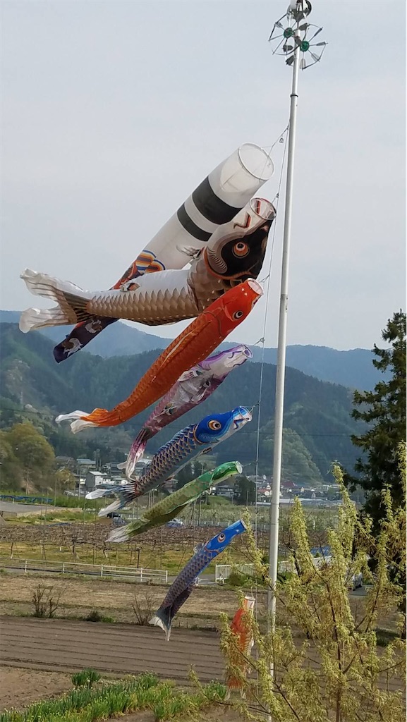 f:id:amanokotone:20200503202050j:image