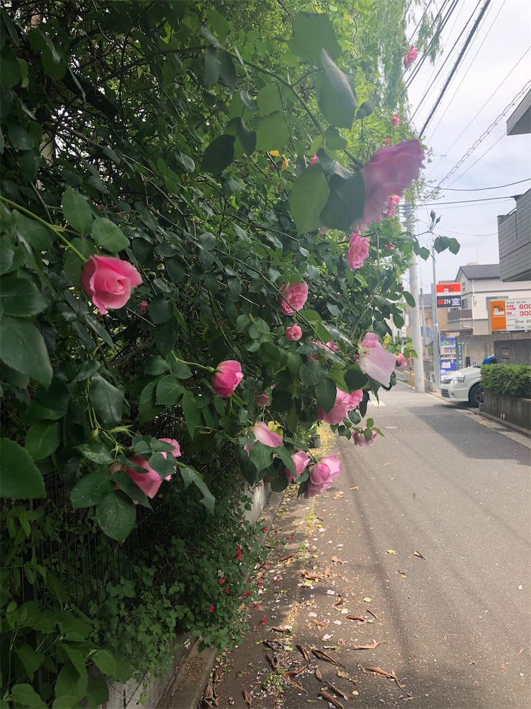 f:id:amanokotone:20200503213150j:image