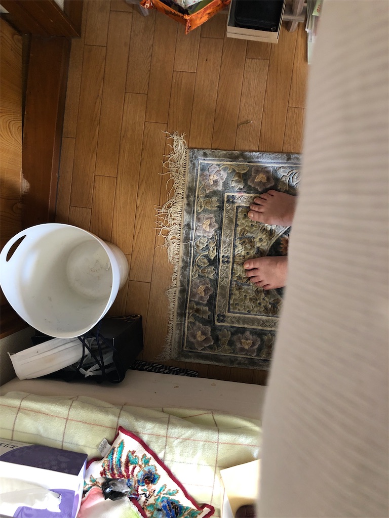 f:id:amanokotone:20200529130933j:image