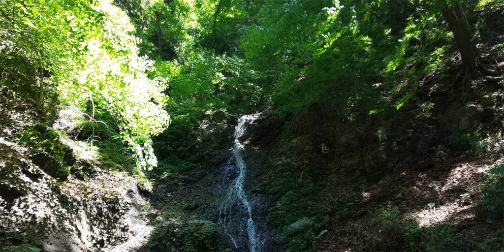 f:id:amanokotone:20200530162256j:image