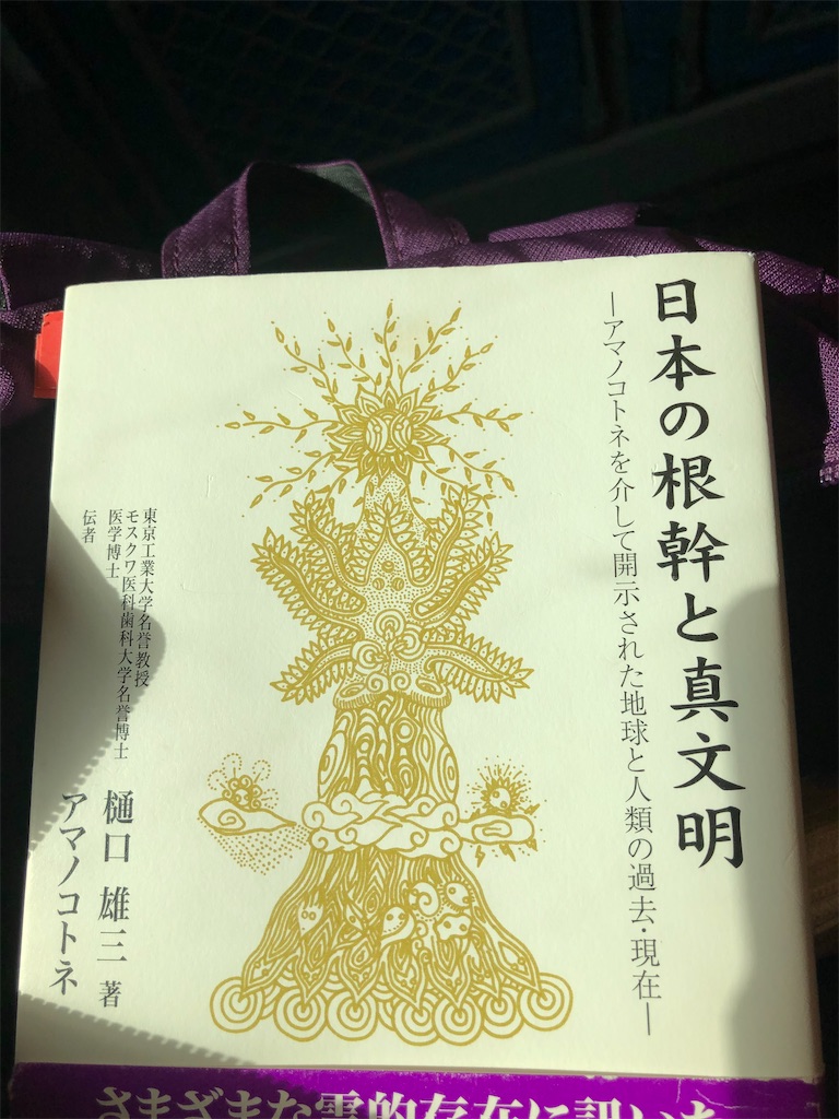 f:id:amanokotone:20201006100447j:image