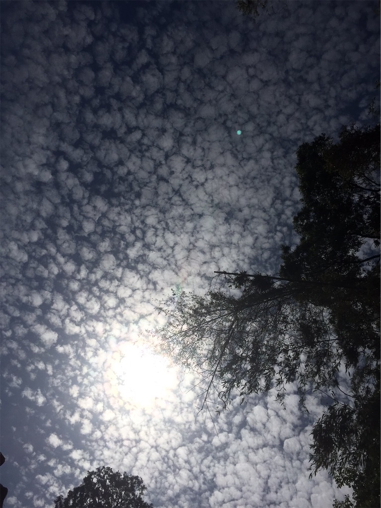 f:id:amanokotone:20210507025034j:image f:id:amanokotone:20210507025034j:image