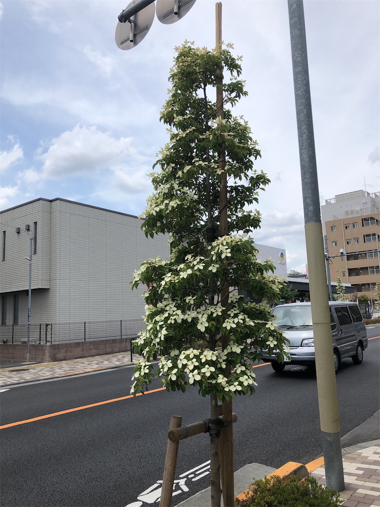 f:id:amanokotone:20210603133317j:image
