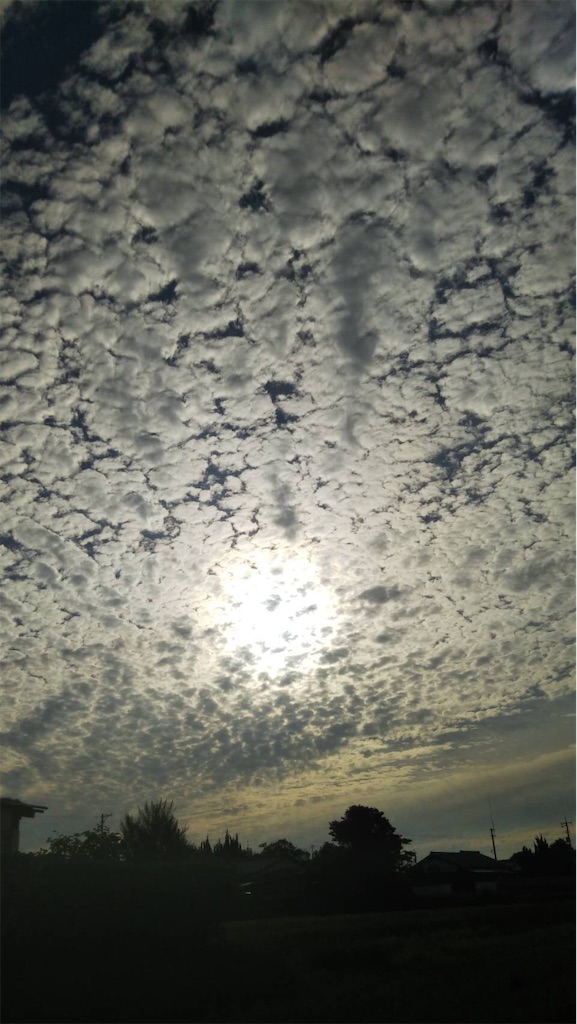 f:id:amanokotone:20210624114053j:image f:id:amanokotone:20210624114053j:image