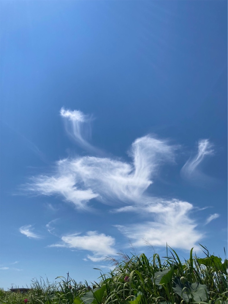 f:id:amanokotone:20210807103036j:image