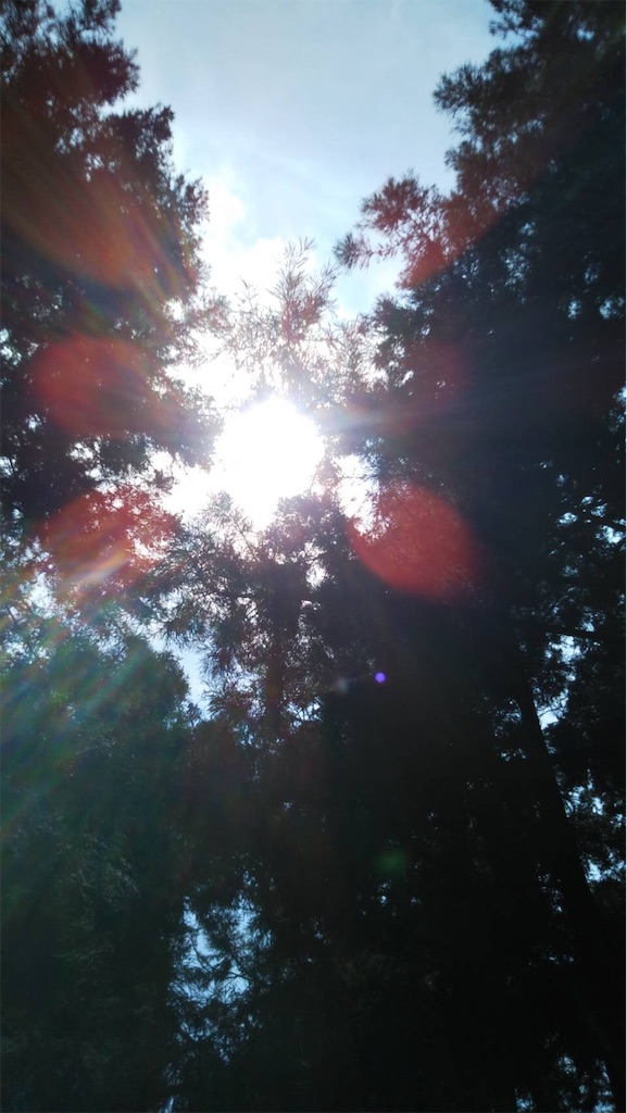 f:id:amanokotone:20210807204936j:image