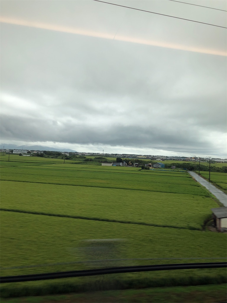f:id:amanokotone:20210813085529j:image