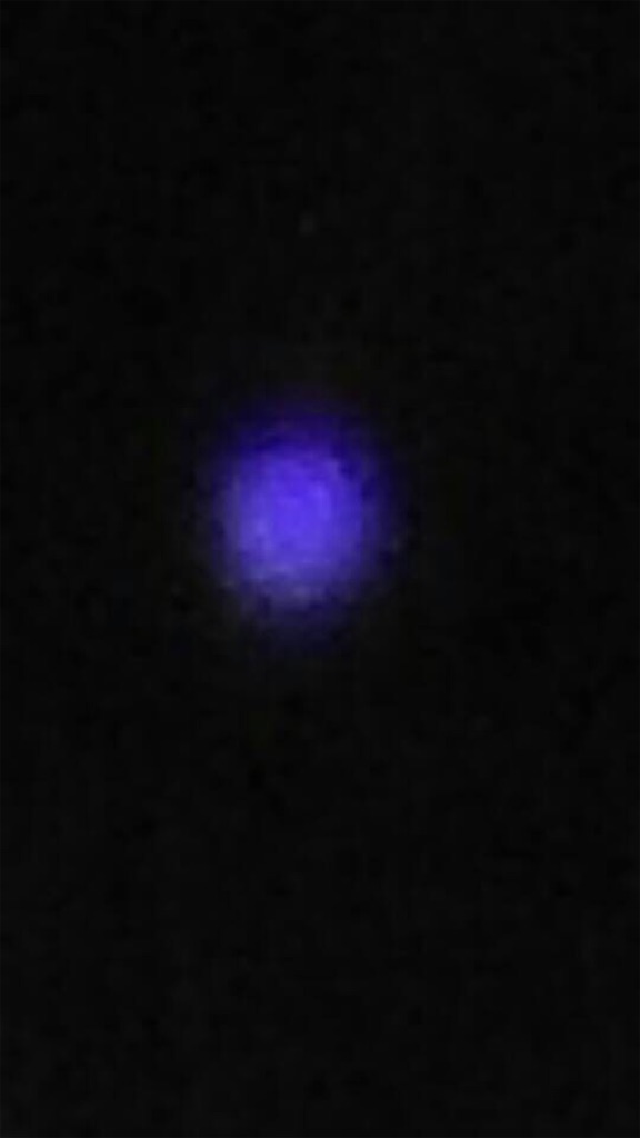 f:id:amanokotone:20210918101111j:image