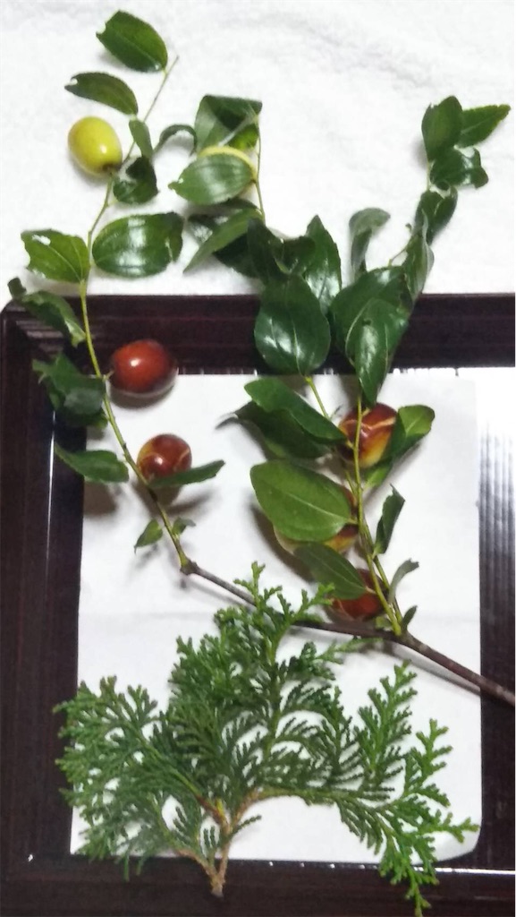 f:id:amanokotone:20210921084906j:image