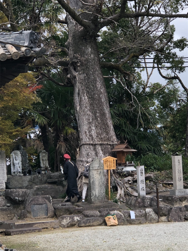 f:id:amanokotone:20211127205131j:image
