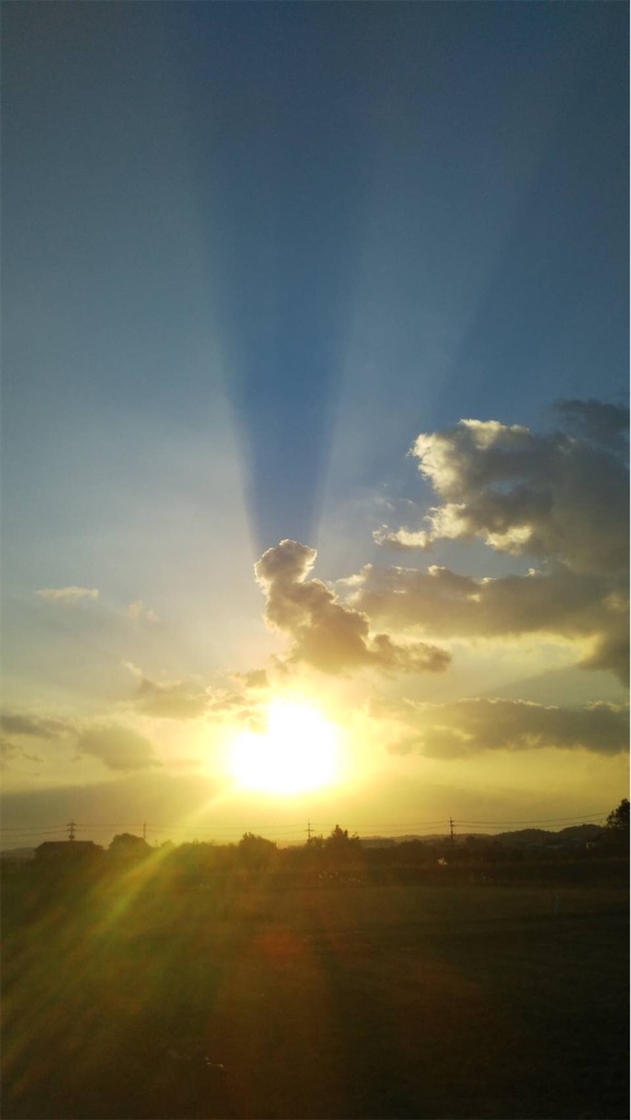 f:id:amanokotone:20211202103214j:image