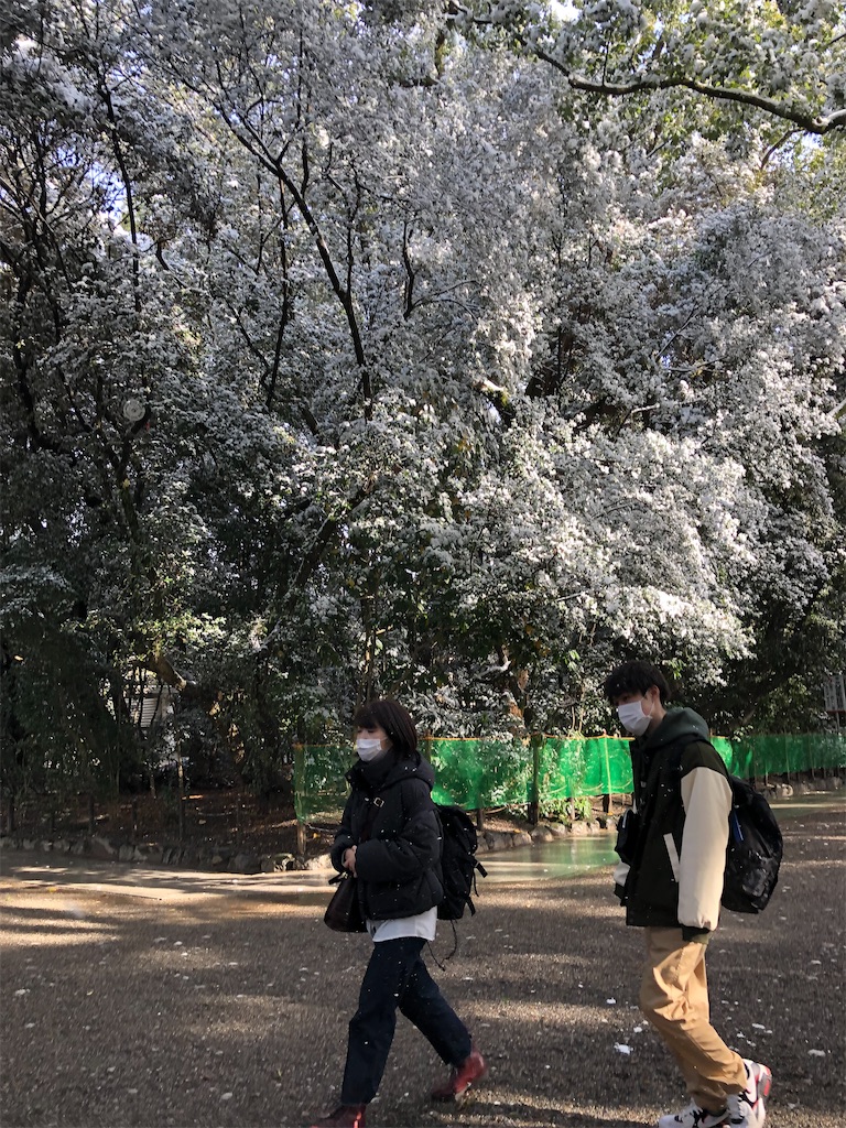 f:id:amanokotone:20211227143323j:image f:id:amanokotone:20211227143323j:image