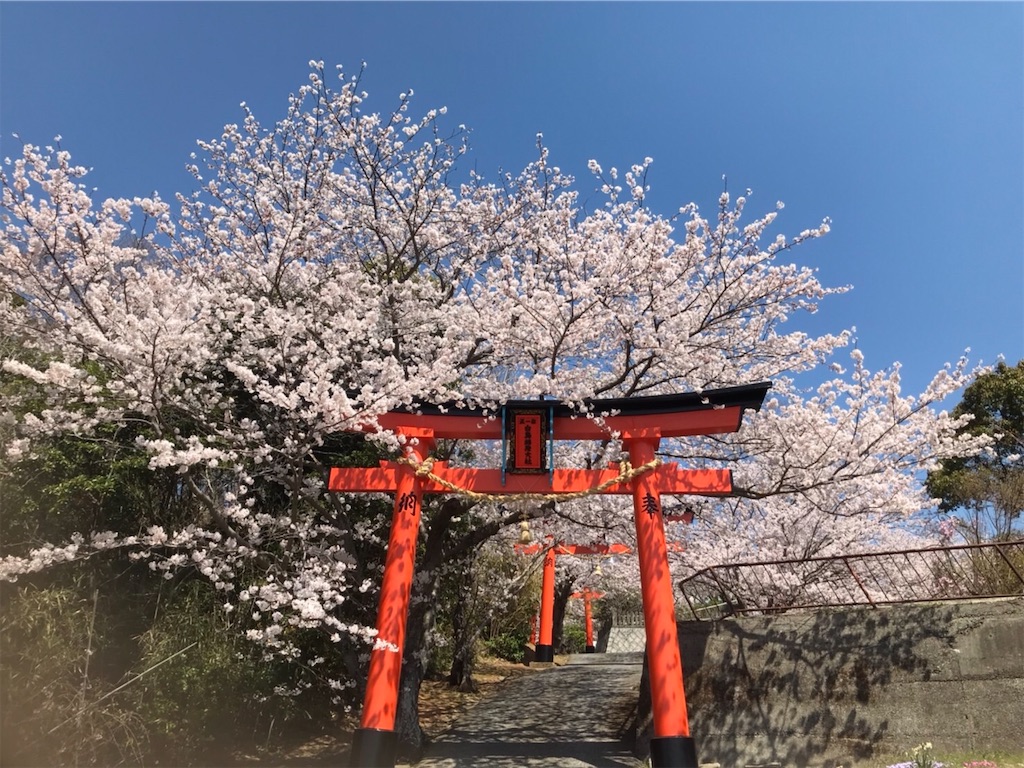 f:id:amanokotone:20220406055859j:image