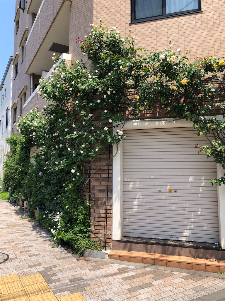 f:id:amanokotone:20220505122910j:image