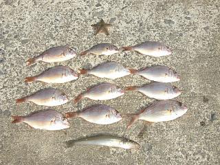 釣果