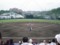 横浜ベイスターズ総合練習場