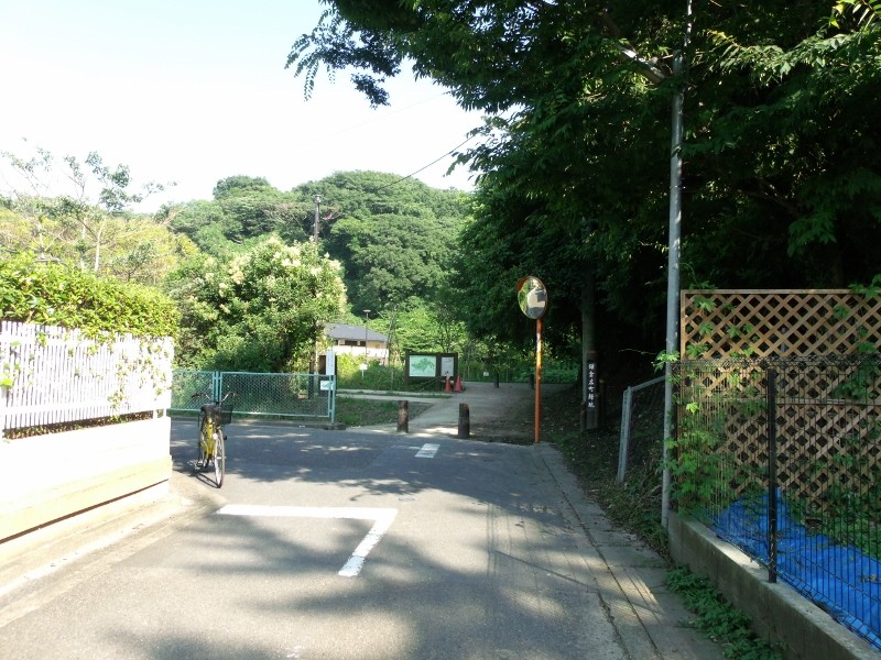 f:id:amanomurakumo:20150711104206j:image:h400