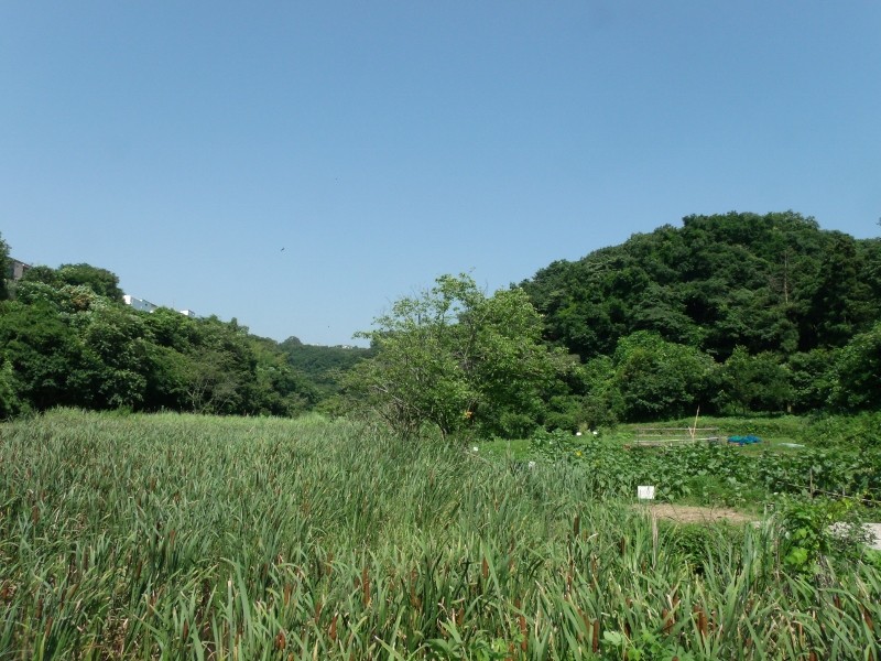 f:id:amanomurakumo:20150711105452j:image:h400