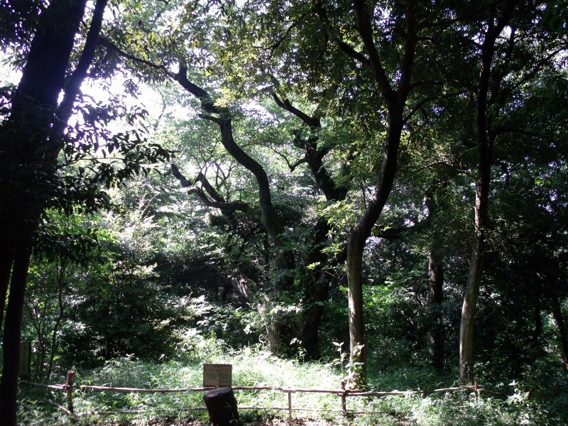 f:id:amanomurakumo:20150711105859j:image:h400