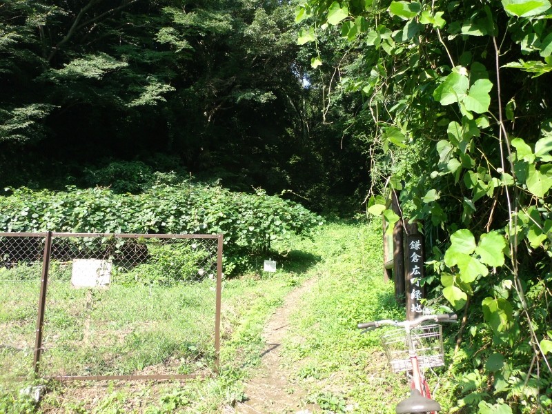 f:id:amanomurakumo:20150711111017j:image:h400