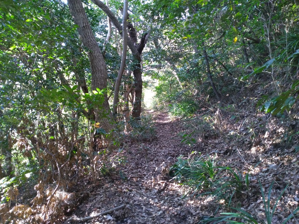 f:id:amanomurakumo:20181030132542j:plain