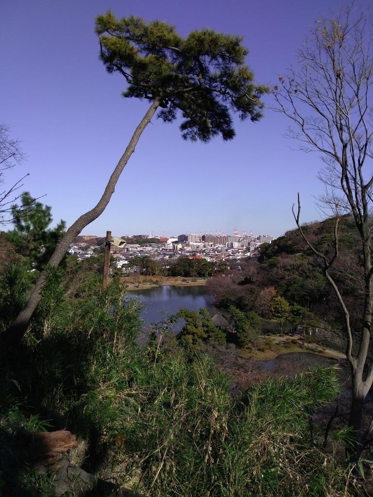 20190102182048