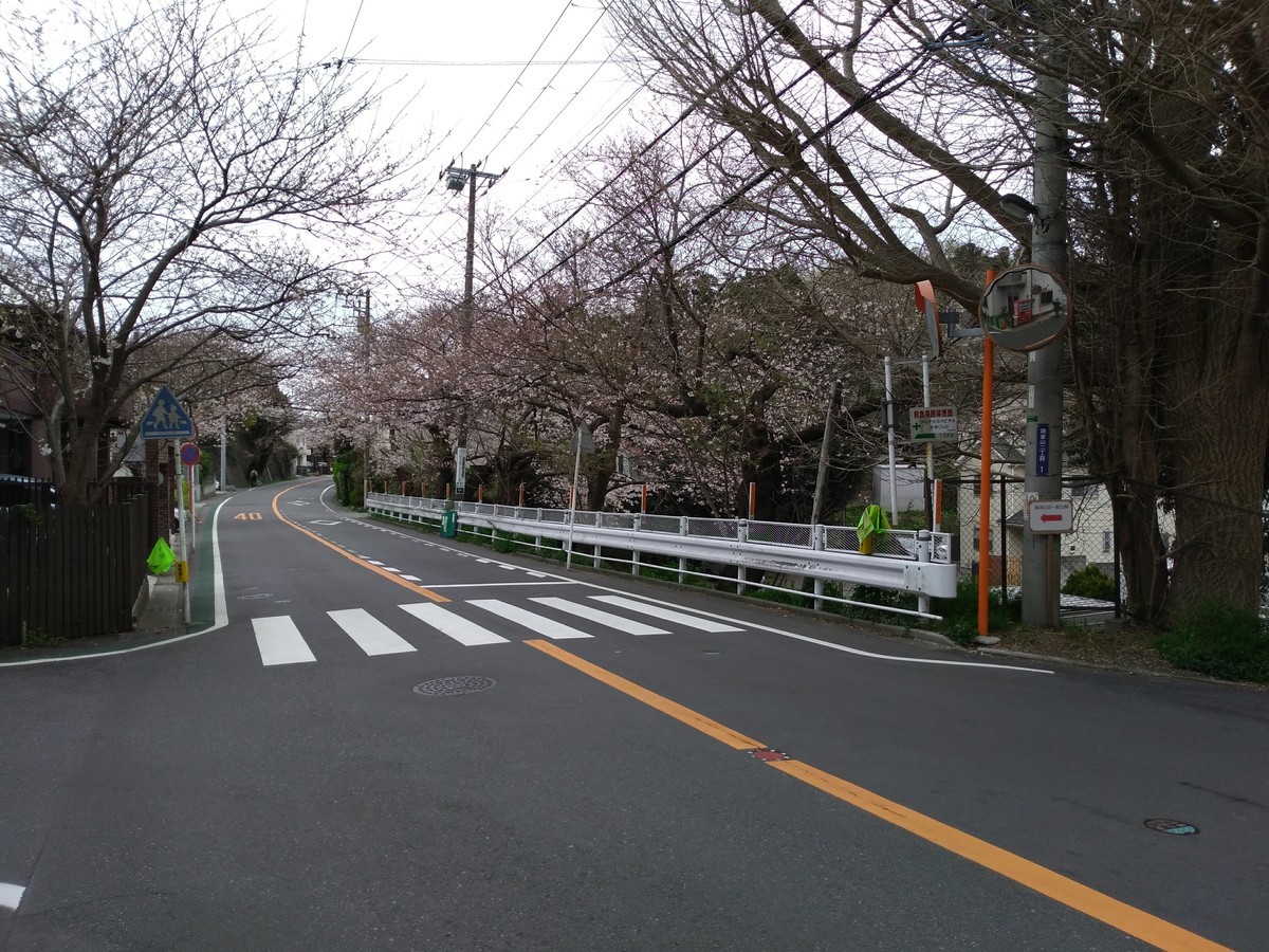 f:id:amanomurakumo:20190401161123j:plain f:id:amanomurakumo:20190401161123j:plain