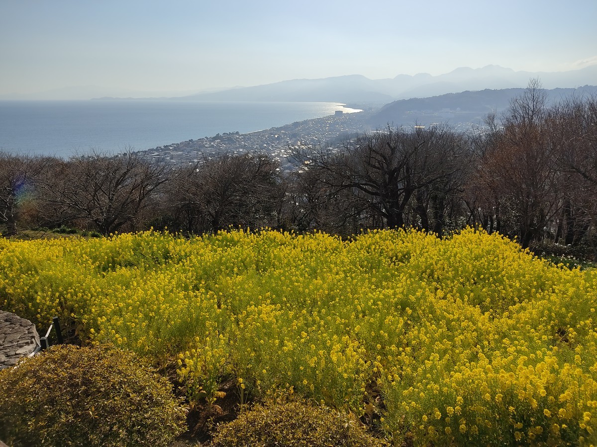 f:id:amanomurakumo:20220310151956j:plain