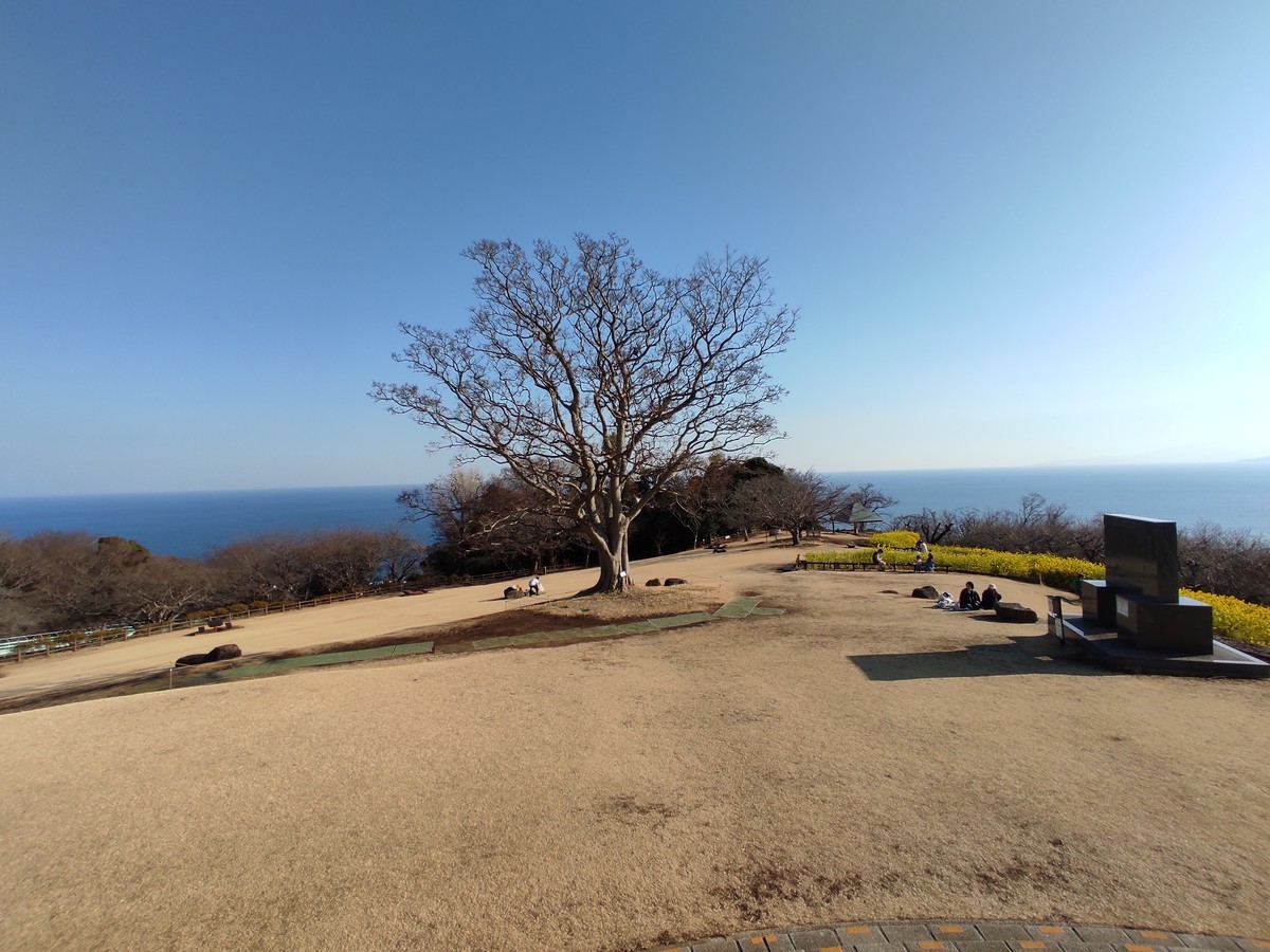 f:id:amanomurakumo:20220310152030j:plain