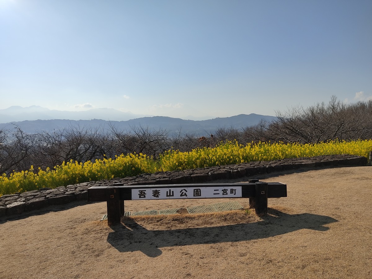 f:id:amanomurakumo:20220310152104j:plain