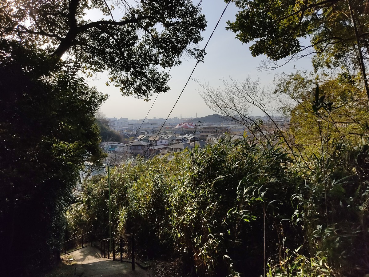 f:id:amanomurakumo:20220313025754j:plain