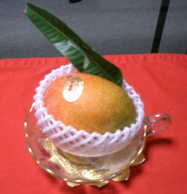 f:id:amariri:20100803232845j:image