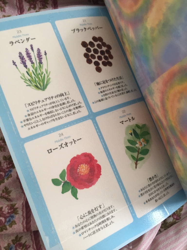 f:id:amasorace:20180507083058j:plain