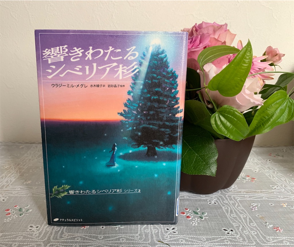 f:id:amasorace:20200126220543j:image