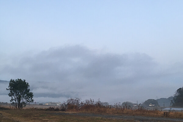 佐賀の空 2020年1月23日 朝方 霧