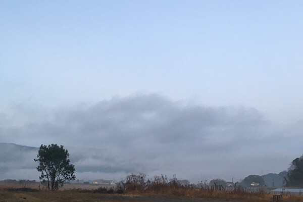 佐賀の空 2020年1月23日 朝方 霧