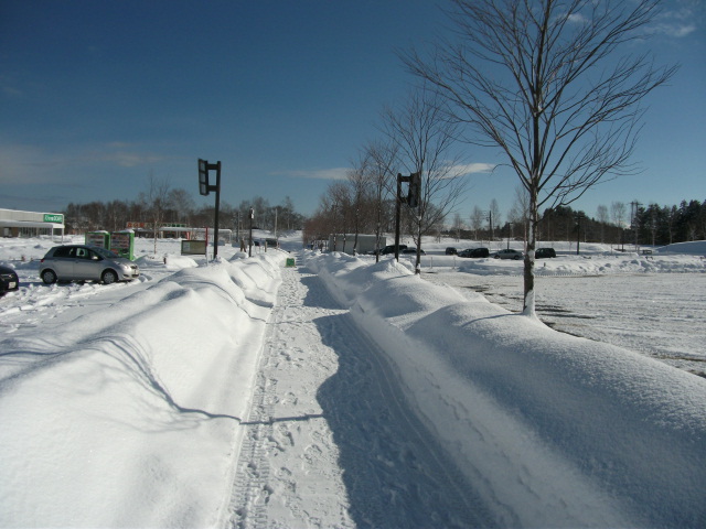 f:id:amateur2010:20130129105113j:image