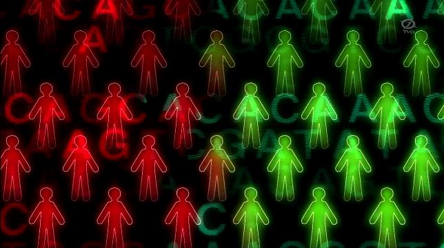 f:id:amateur2010:20130216043423j:image f:id:amateur2010:20130216043423j:image