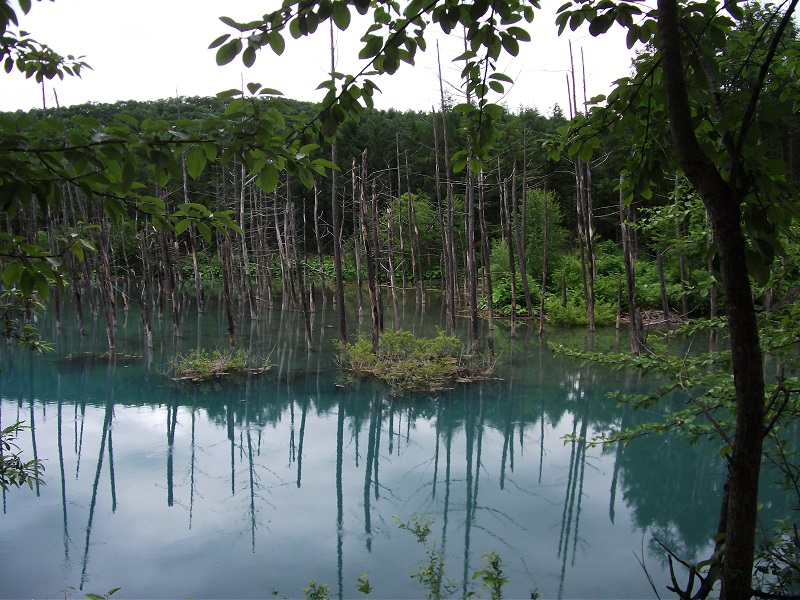 f:id:amateur2010:20140622013954j:image f:id:amateur2010:20140622013954j:image
