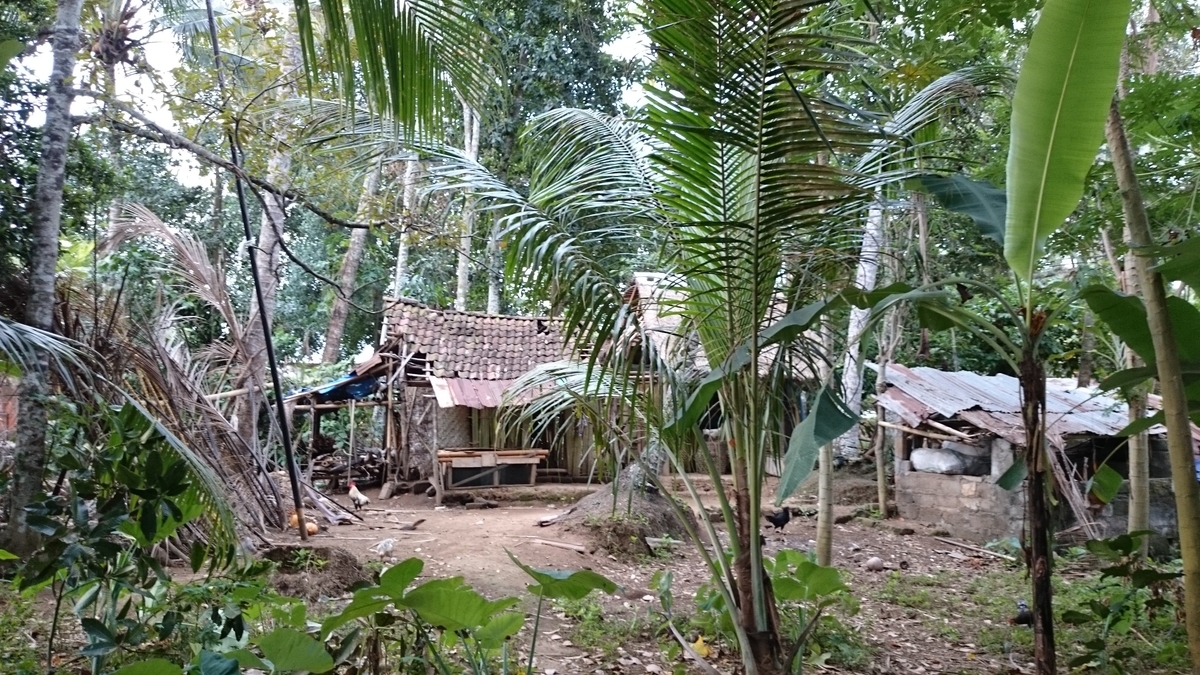 f:id:amatuchi:20191022161434j:plain f:id:amatuchi:20191022161434j:plain