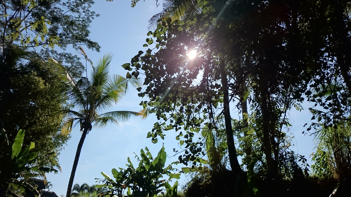 f:id:amatuchi:20191022162842j:plain f:id:amatuchi:20191022162842j:plain