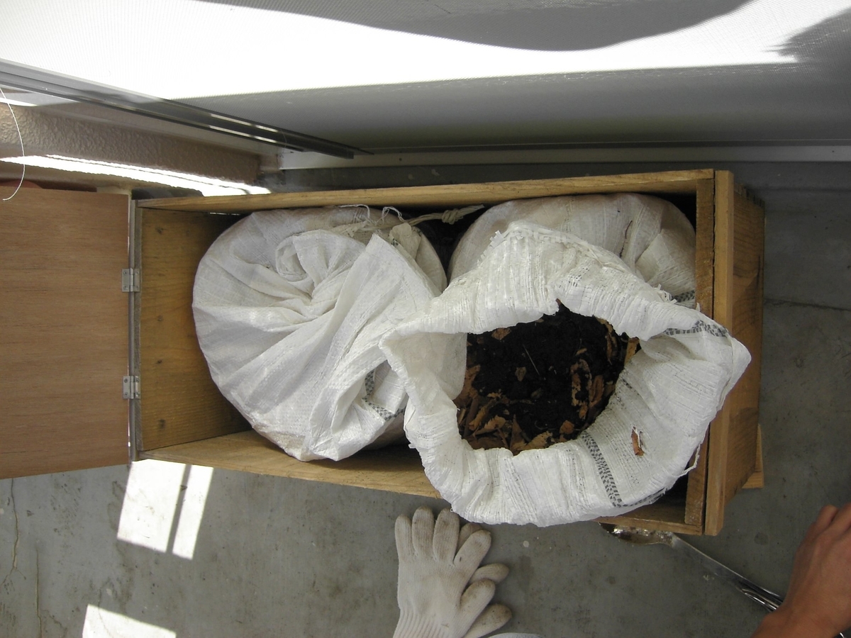 ミミズコンポスト 自作と柑橘の事 ベランダミミコン の土 Lｏｈａｓ Life 身体は答えを知っている