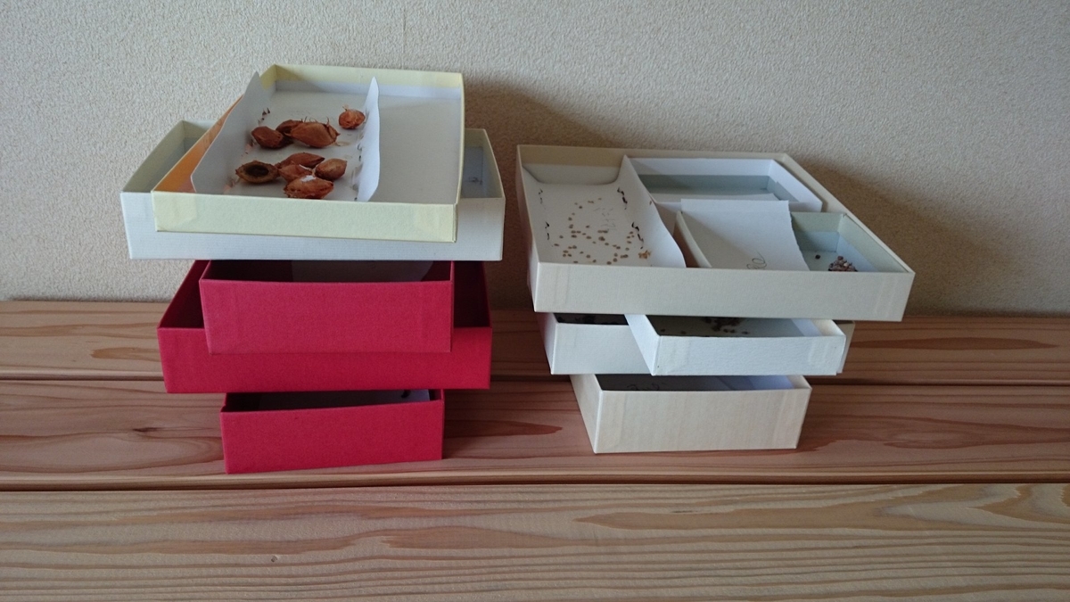 f:id:amatuchi:20200331173209j:plain f:id:amatuchi:20200331173209j:plain