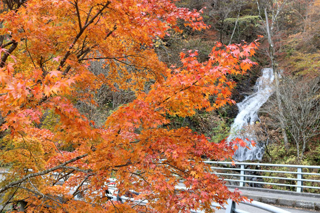 f:id:amatutitaro:20191102093936j:plain