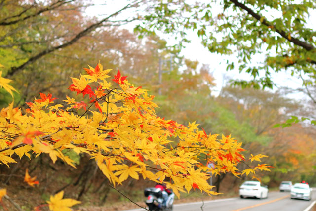 f:id:amatutitaro:20191102094016j:plain