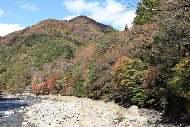 f:id:amatutitaro:20191105161747j:plain